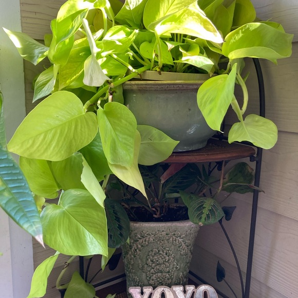 NWT Distressed Farmhouse Galvanized Metal Primitive Sentiment Decor “XOXO” Chic - Picture 4 of 5